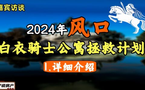 2024年最大的风口/白衣骑士公寓拯救计划/系列1